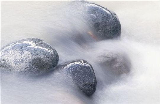 石头,雷尼尔山国家公园,华盛顿,美国