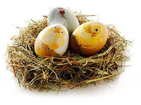 手绘,复活节彩蛋,鸡,设计