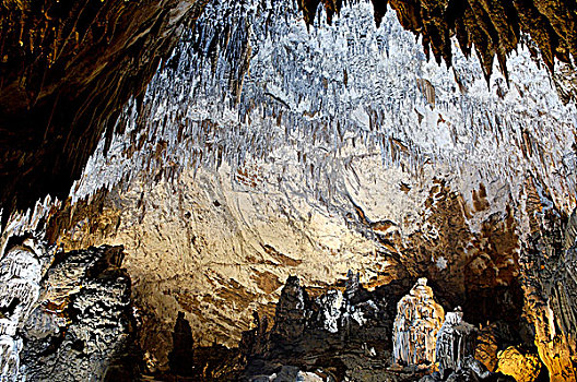 斯洛文尼亚,洞穴,一个,欧洲,地下,峡谷,世界,公里,通道,联合国教科文组织,文化遗产