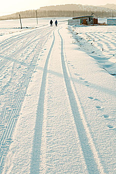 雪景,庙宇,雪,除雪