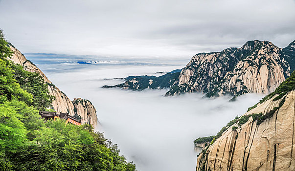 华山,云海