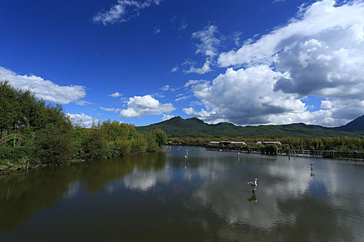 丽江,拉市海湿地