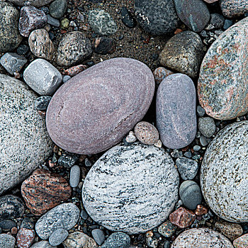 特写,鹅卵石,小湾,格罗莫讷国家公园,纽芬兰,拉布拉多犬,加拿大