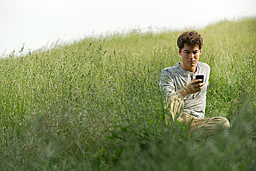 男青年,坐,草丛,发短信
