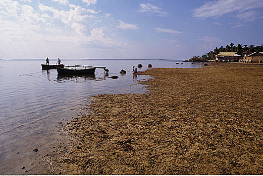 船,海岸线,菲律宾