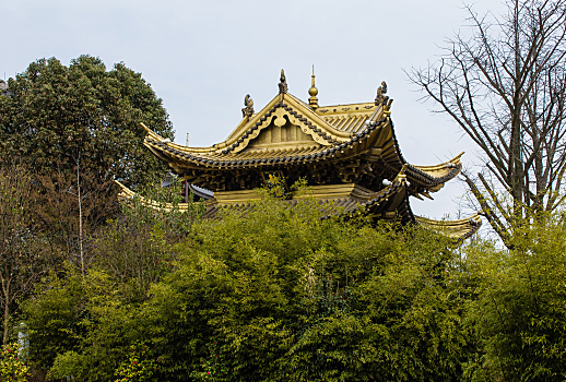 上海金山东林寺