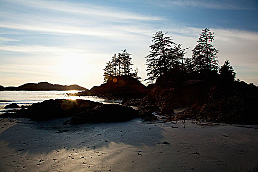 海滩,靠近,温哥华岛,不列颠哥伦比亚省,加拿大