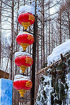 二合舒兰雪乡玉米