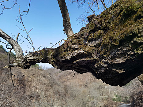 河流,沣峪口,秦岭山,丰裕口,沣峪河,秦岭北麓,自然环境,自然风光,秦岭山脉,风光秀丽,绿色植物,秦岭风光