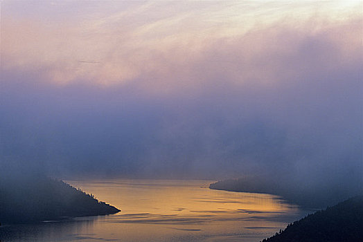 雾,上方,河,手臂,半岛,温哥华岛,不列颠哥伦比亚省,加拿大