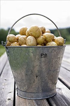 罐头,桶,满,土豆,瑞典