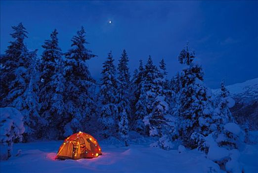 灯光,帐蓬,圣诞灯光,阿拉斯加,冬天,景色
