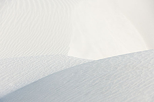 脊,白色背景,沙子