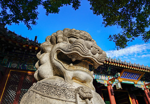 北京大学,西门,狮子
