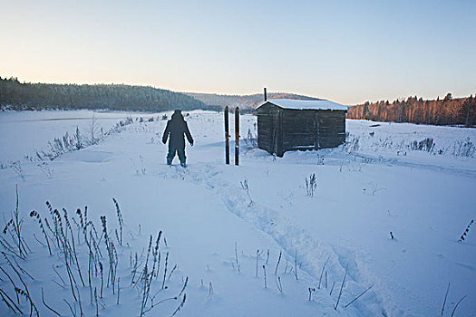 后视图,男人,雪中,遮盖,风景,乡村,俄罗斯