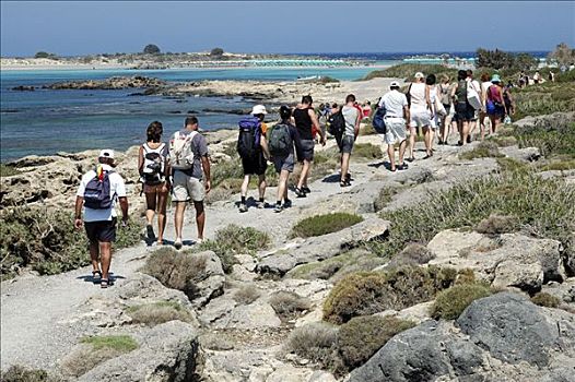 游客,游览,海滩,西南,克里特岛,希腊