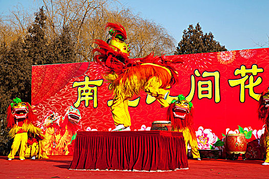 北京地坛庙会上的杂技表演舞狮
