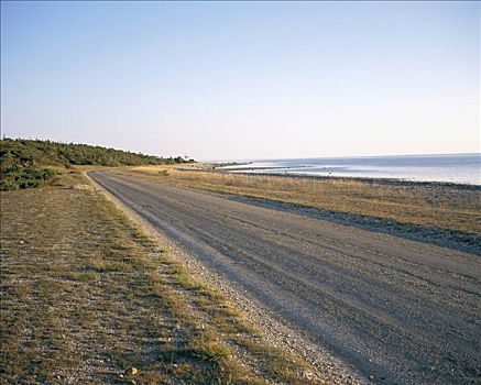 道路,海岸线,哥特兰岛,瑞典