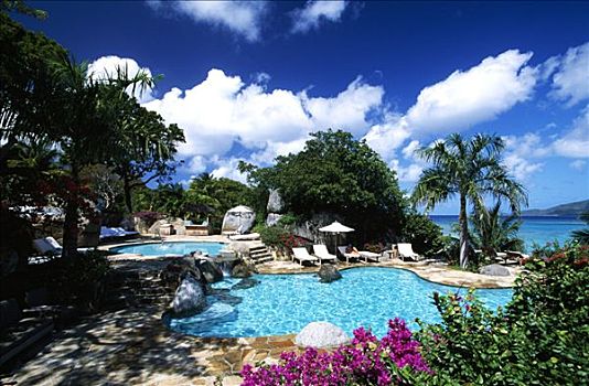 游泳池,小,湾,胜地,维京果岛,岛屿,英属维京群岛,加勒比海