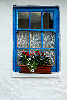 窗,蓝色,白墙,花,爱尔兰