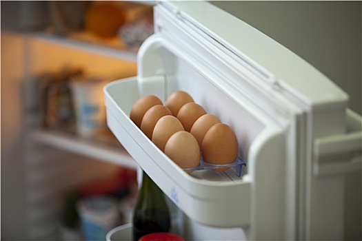 蛋,电冰箱