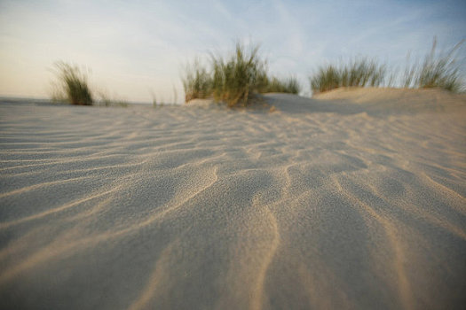 沙子,荷兰