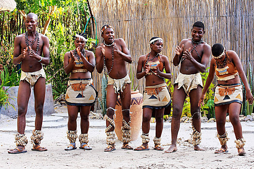 传统,非洲,跳舞,群体,博茨瓦纳