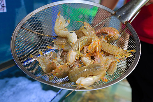 五一旅游迎来热潮,原汁原味的海鲜备受游客青睐
