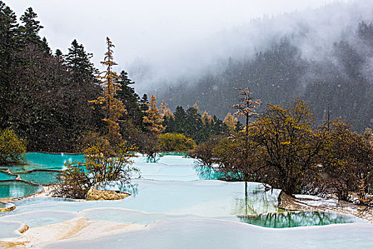 川西黄龙雪景