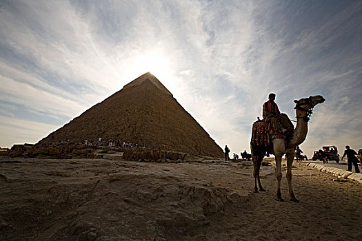 游客,金字塔