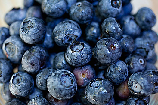 新鲜,蓝莓,美国