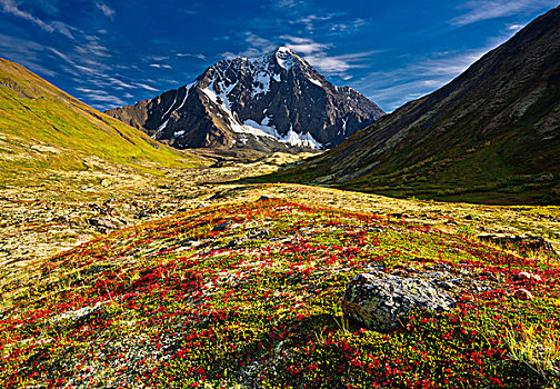 景色,顶峰,彩色,秋天,苔原,楚加奇州立公园,阿拉斯加