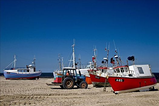 捕鱼,切割器具,海滩,日德兰半岛,丹麦