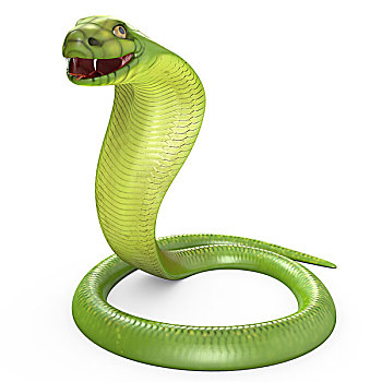 绿色,眼镜蛇,弯曲