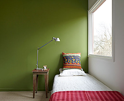 单人床,绿色,卧室,新,奥尔巴尼,房子