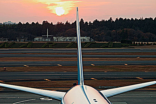 特写,尾部,飞机,太阳,后面,机场,日本