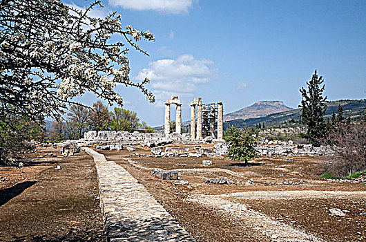寺庙,宙斯,希腊