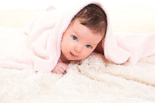 女婴,隐藏,粉色,毯子,白色背景,毛皮