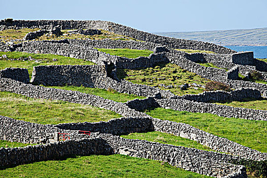 干燥,石墙,围绕,绿色,地点,岛屿,阿伦群岛,爱尔兰