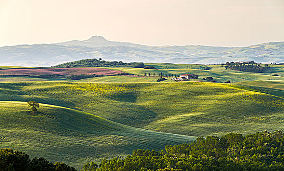 托斯卡纳,风景,农场,意大利