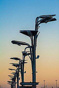 日落后的奥运公园灯柱
