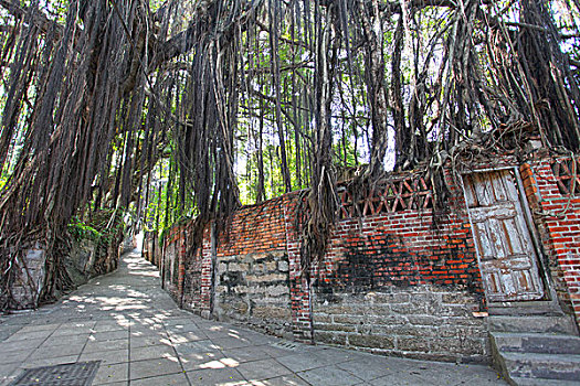 福建,厦门,鼓浪屿,海岛,风光,风情,建筑,植被,旅游,游客