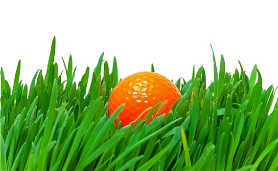 橙色,高尔夫球,高草