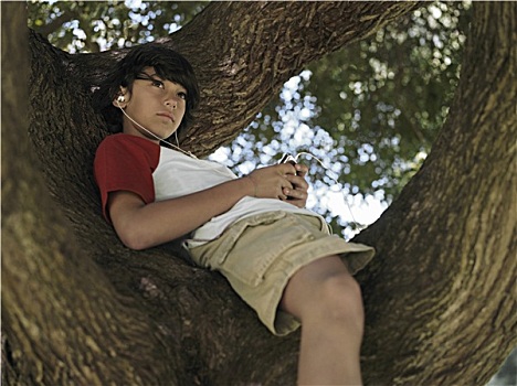 男孩,10-12岁,坐,树上,公园,听,mp3播放器,微笑,仰视