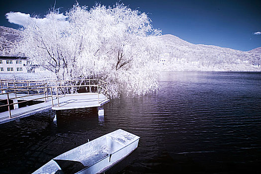 陈家沟雪景