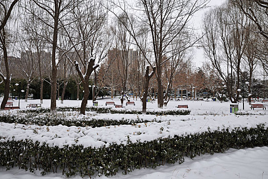 河北省石家庄市公园雪景