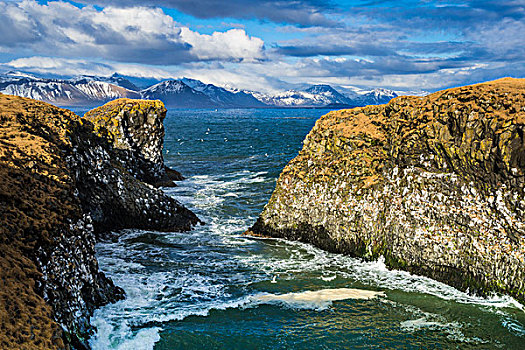 悬崖,靠近,山,半岛,背影,韦斯特兰德,冰岛,欧洲