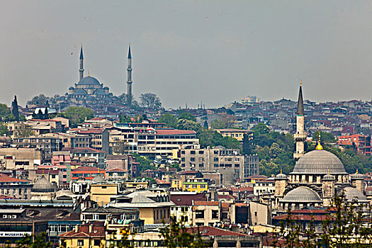 土耳其,伊斯坦布尔,城市,蓝色清真寺