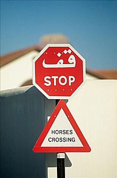 停车标志,阿拉伯