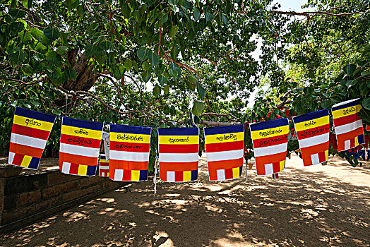 国际,佛教,旗帜,神圣,城市,阿努拉德普勒,北方,中央省,斯里兰卡,亚洲